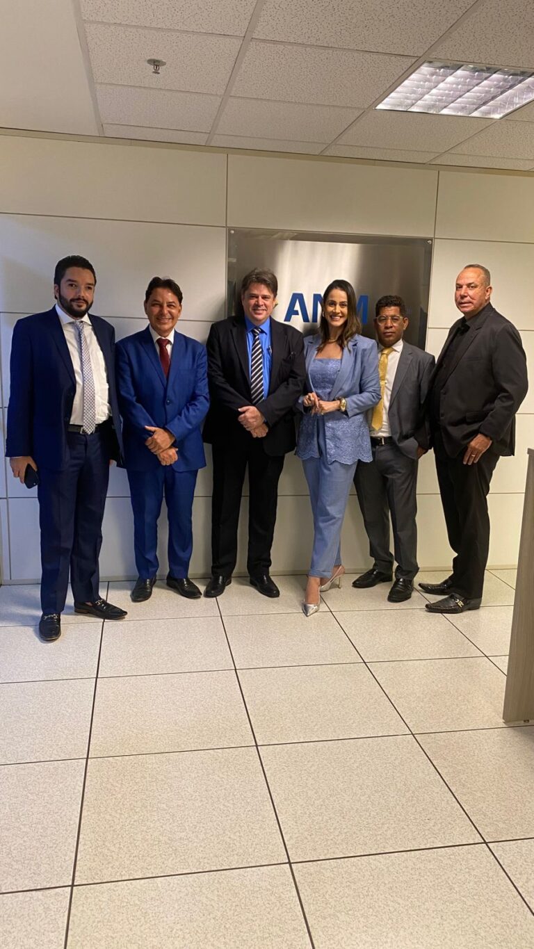 Representantes da CNMI e da ANM reunidos em Brasília para discutir desafios, avanços e estratégias para o desenvolvimento do setor mineral brasileiro.